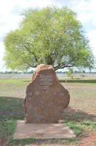 Cenotaph in front of large tree