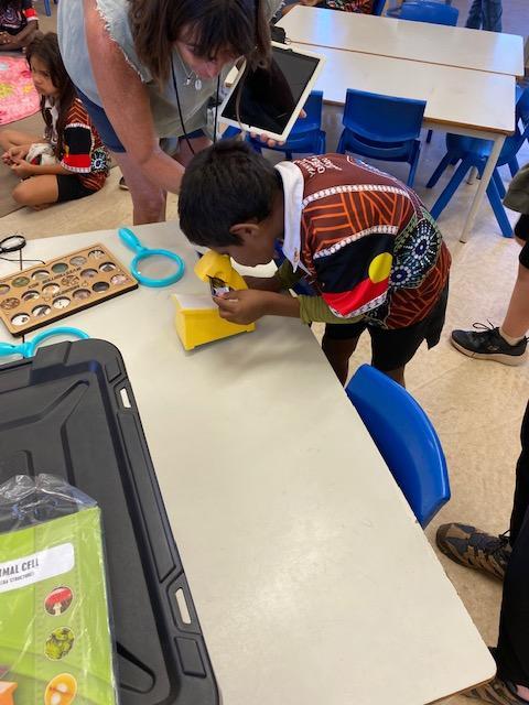 Student looking at bacteria