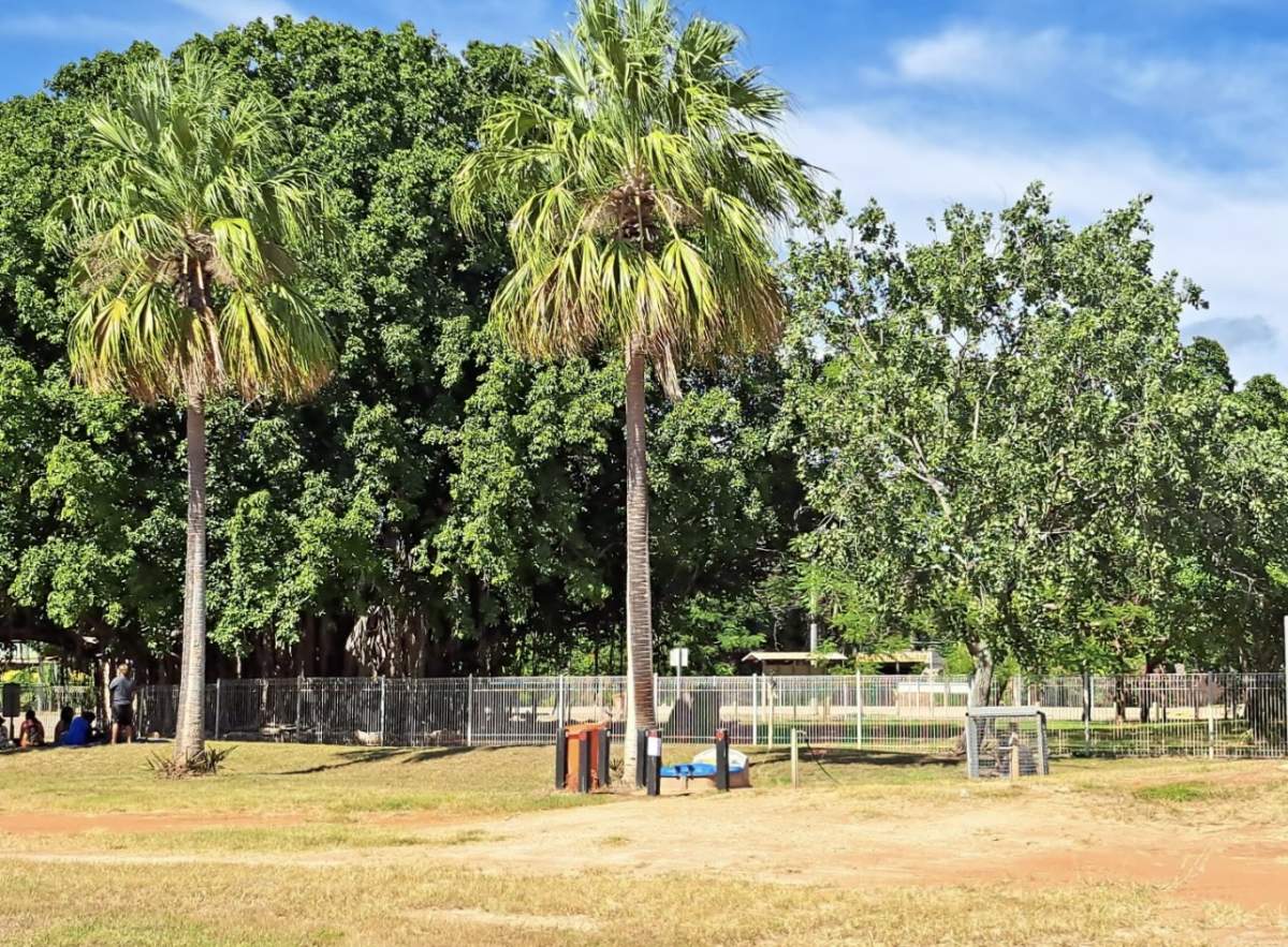 Dump point at local park surrounded by trees and dry grass